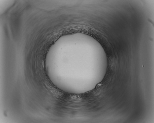 X0000099401489200805221842