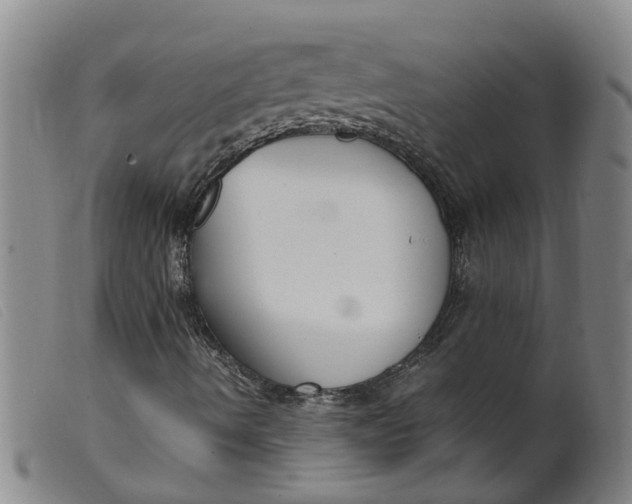 X0000099401490200805221842