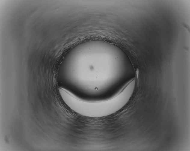 X0000099401491200805221842