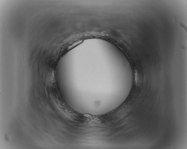 X0000099401492200805221842