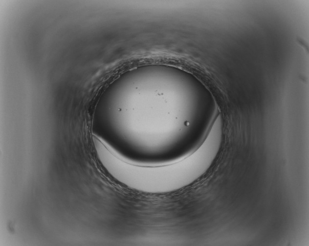 X0000099401493200805221842