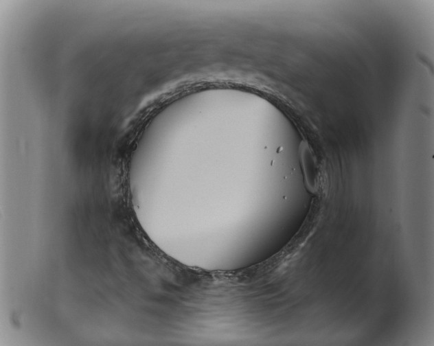 X0000099401494200805221842