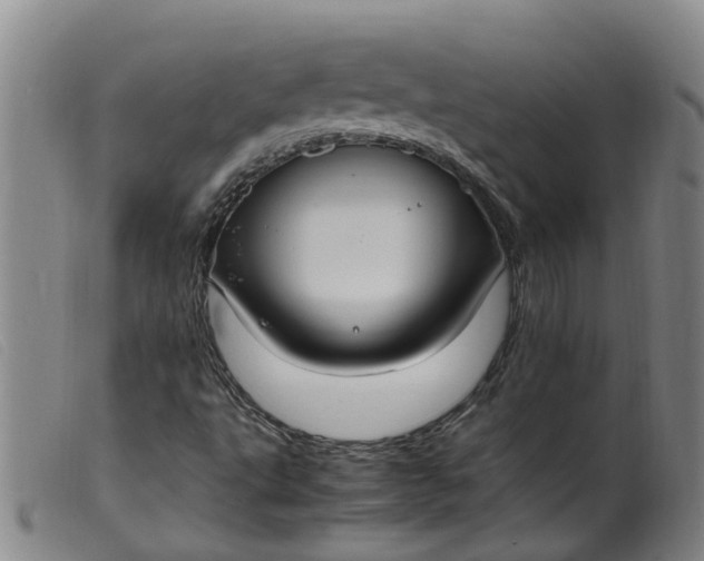 X0000099401495200805221842