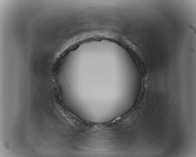 X0000099401496200805221843