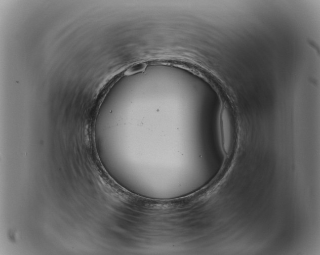 X0000099401497200805221843