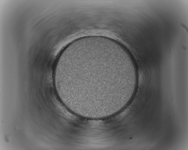 X0000099401498200805221843