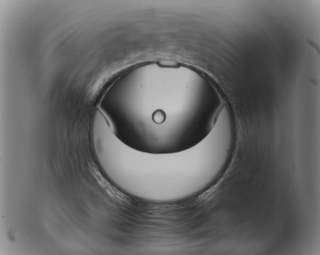 X0000099401499200805221843