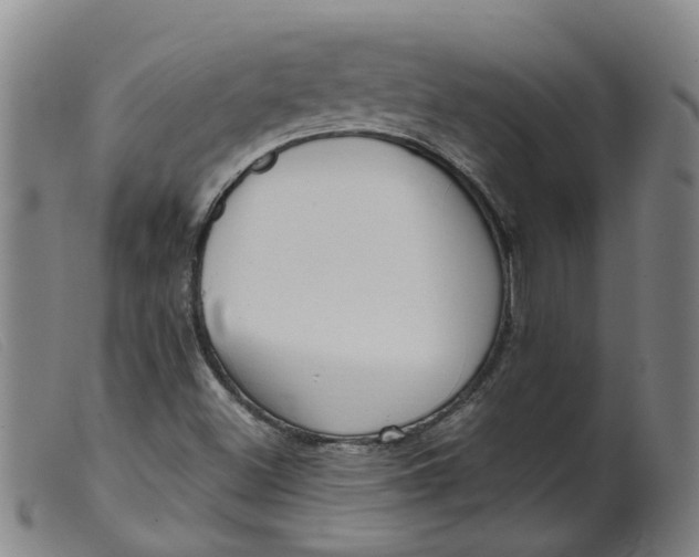 X0000099401500200805221843