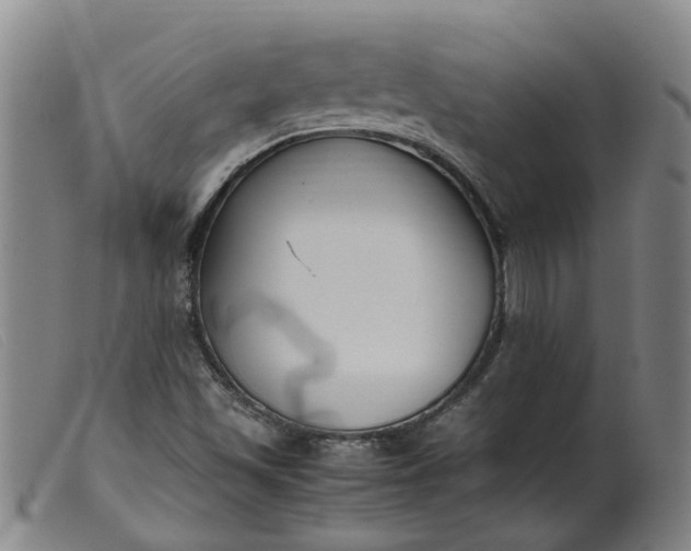 X0000099401501200805221843