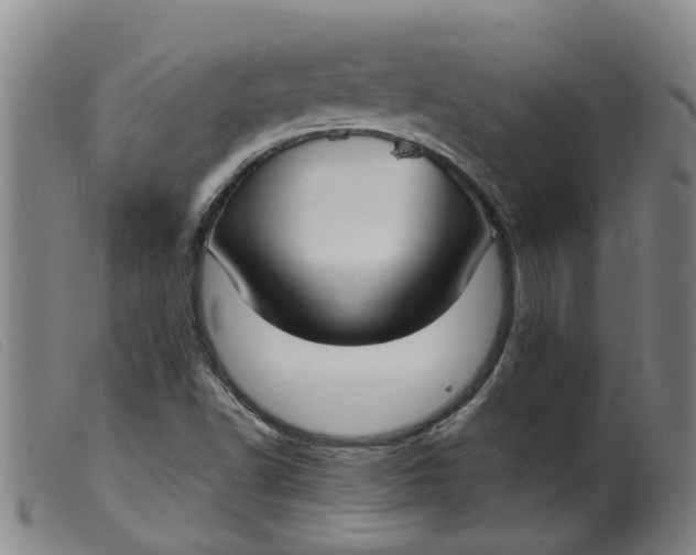 X0000099401502200805221843