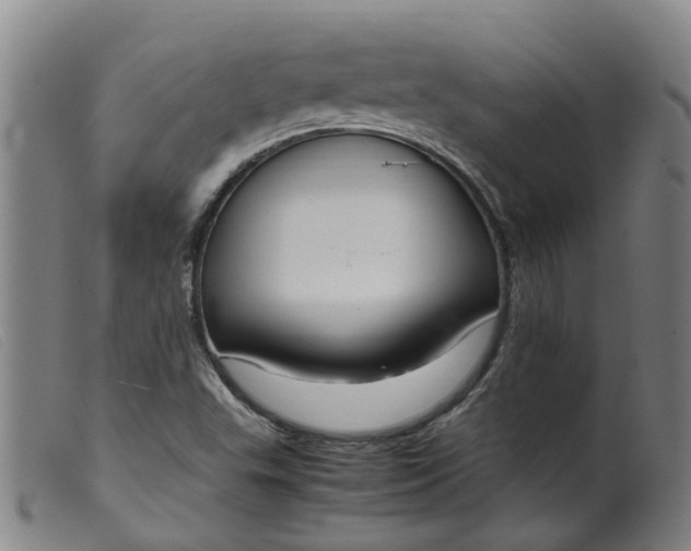 X0000099401503200805221843