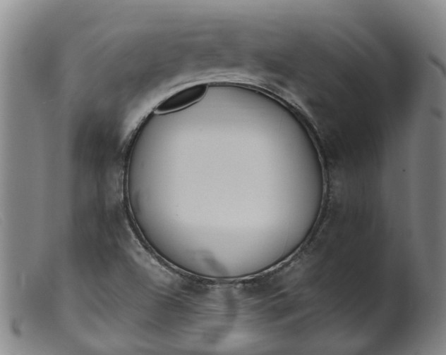 X0000099401504200805221843