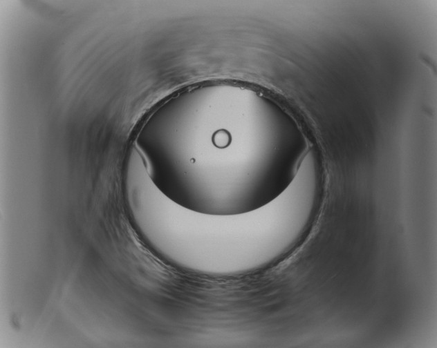 X0000099401505200805221843