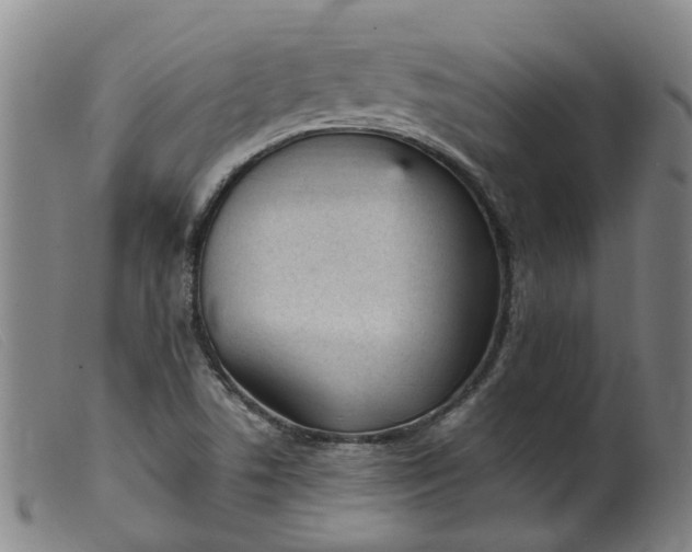 X0000099401506200805221843