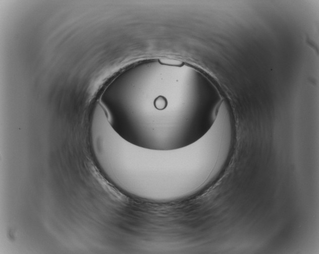 X0000099401507200805221843