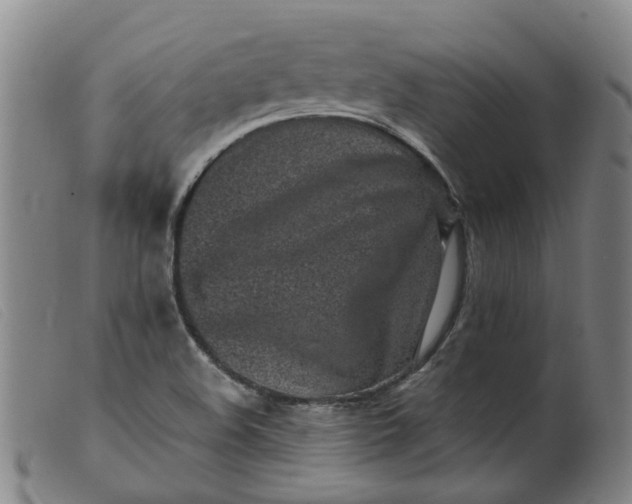 X0000099401508200805221843