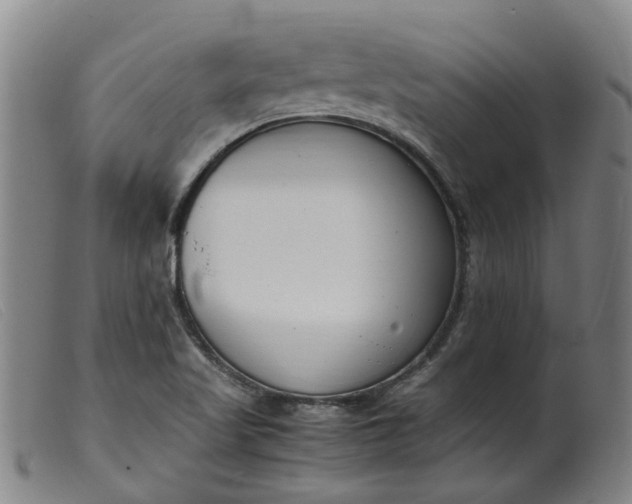 X0000099401509200805221843