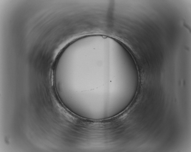 X0000099401510200805221843