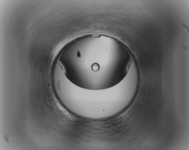 X0000099401511200805221843