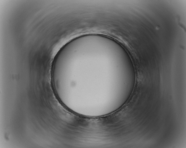 X0000099401512200805221843