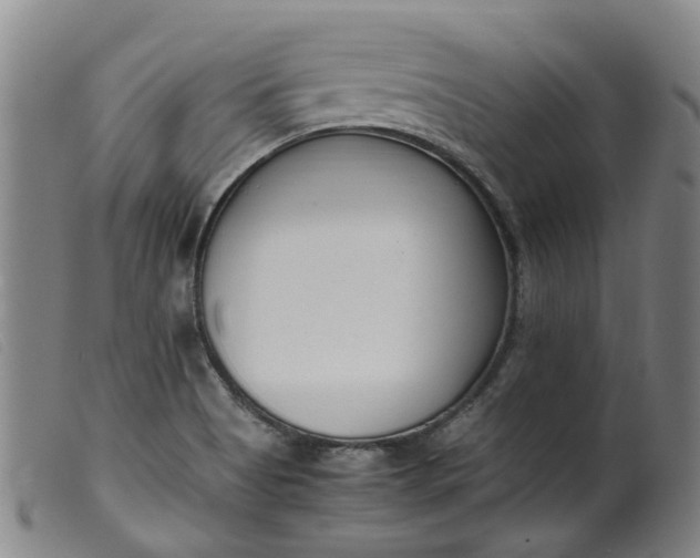 X0000099401513200805221843