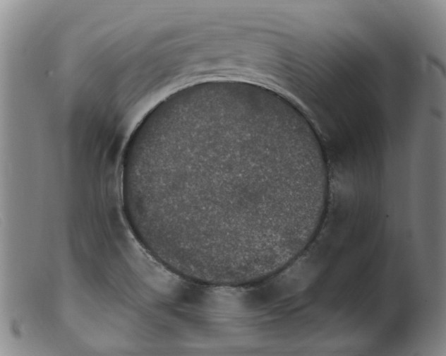 X0000099401514200805221843