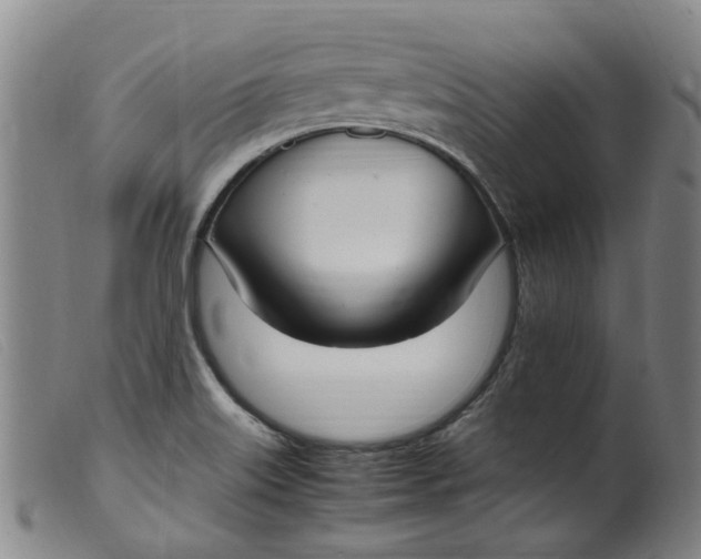 X0000099401515200805221843