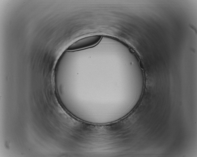 X0000099401516200805221843