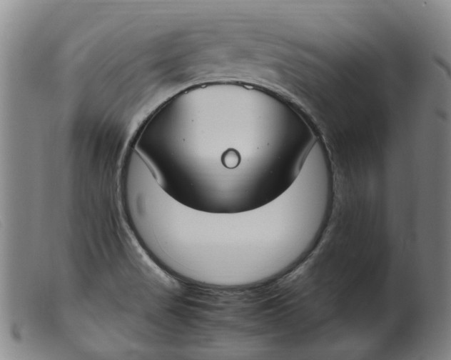 X0000099401517200805221843