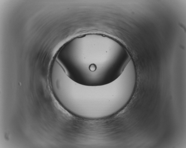 X0000099401518200805221843