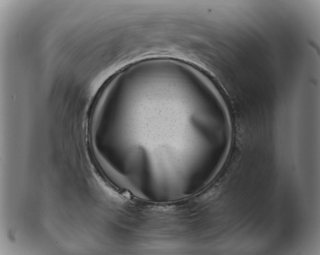 X0000099401519200805221843