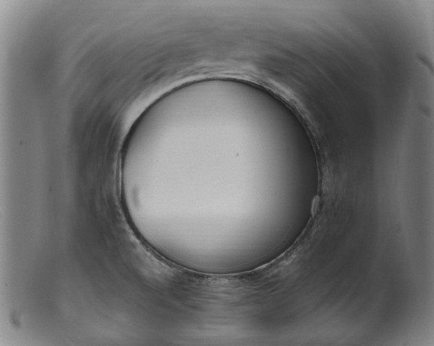 X0000099401520200805221843