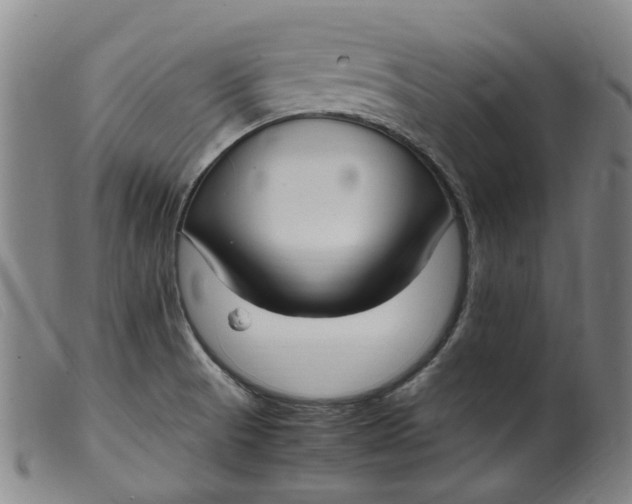 X0000099401521200805221843