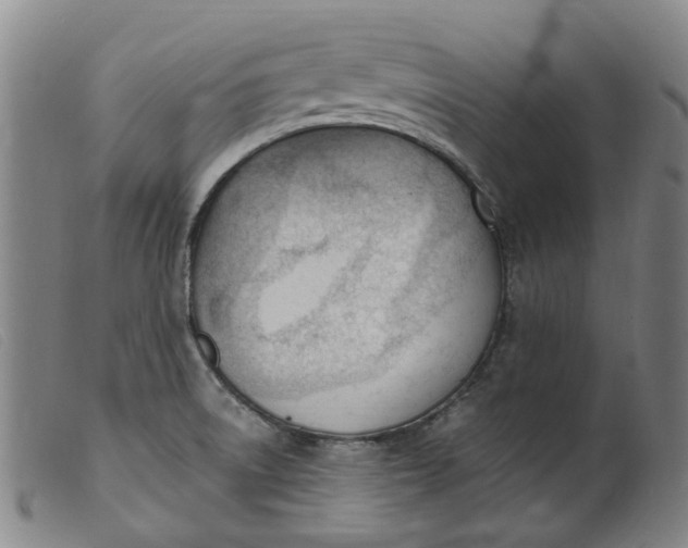 X0000099401522200805221843