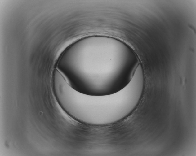 X0000099401523200805221843