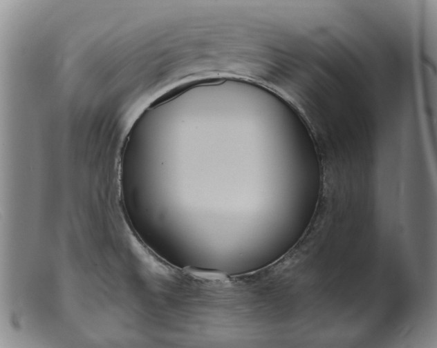 X0000099401524200805221843