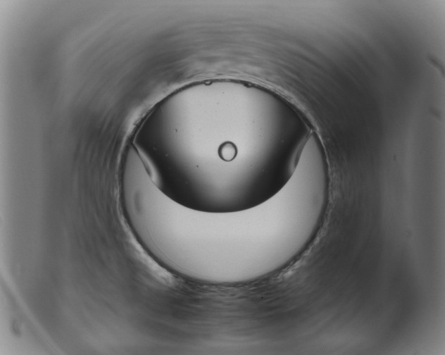 X0000099401525200805221843