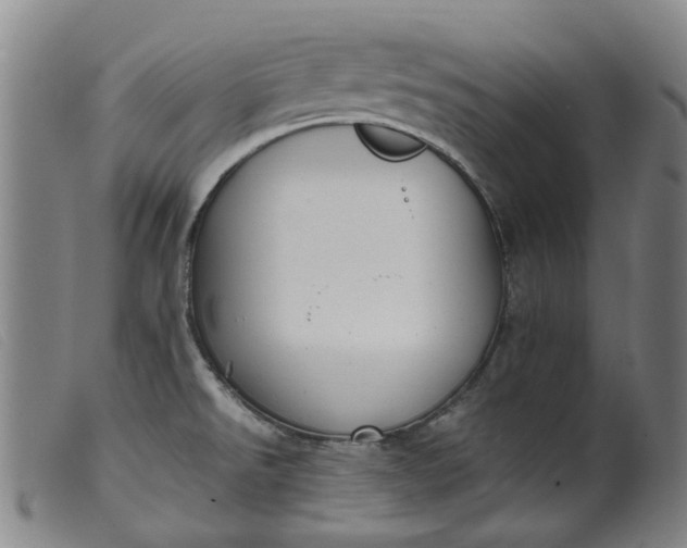 X0000099401526200805221843