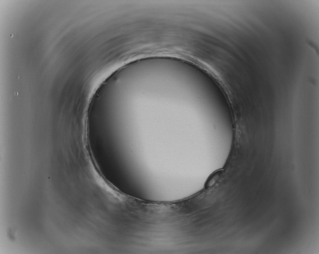 X0000099401528200805221843