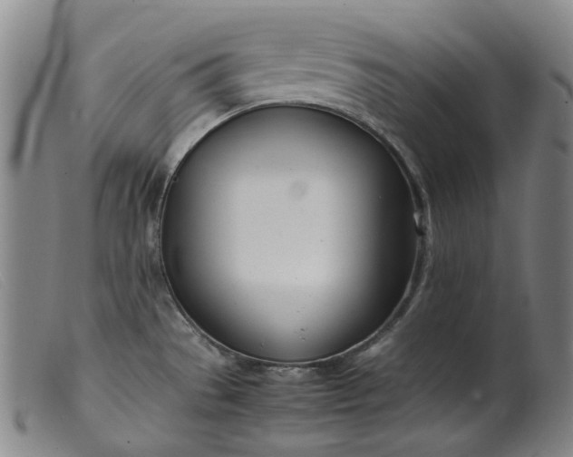 X0000099401529200805221843