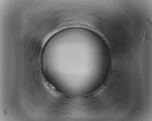 X0000099401530200805221843