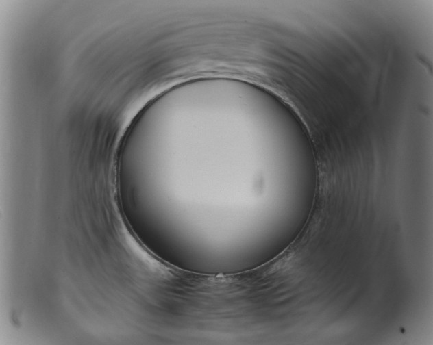 X0000099401531200805221843