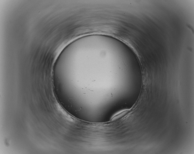 X0000099401532200805221843