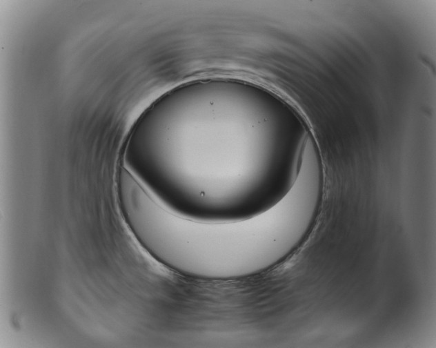 X0000099401533200805221843