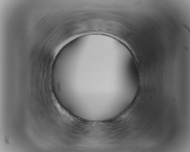 X0000099401534200805221843