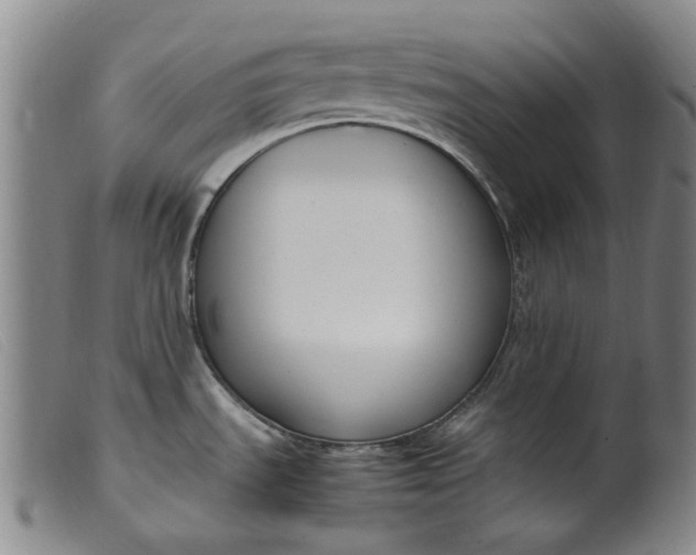 X0000099401535200805221843