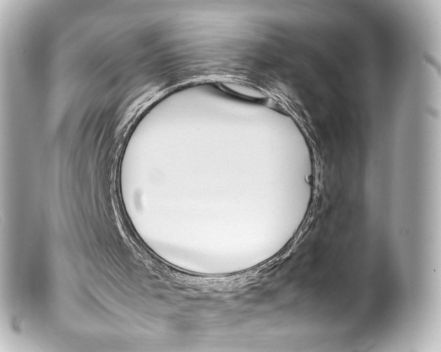 X0000099400001200805291219