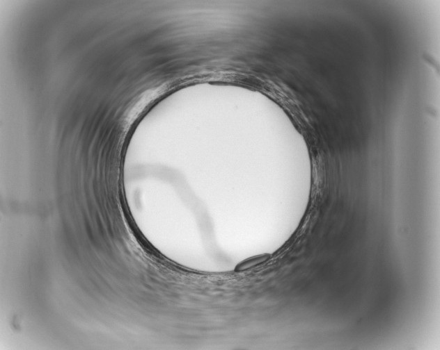 X0000099400003200805291219