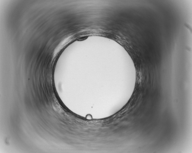 X0000099400004200805291219