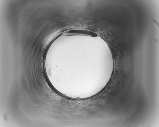 X0000099400005200805291219
